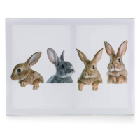 Sconto Obraz na plátne RABBITS 40x30 cm, motív zajačikovia