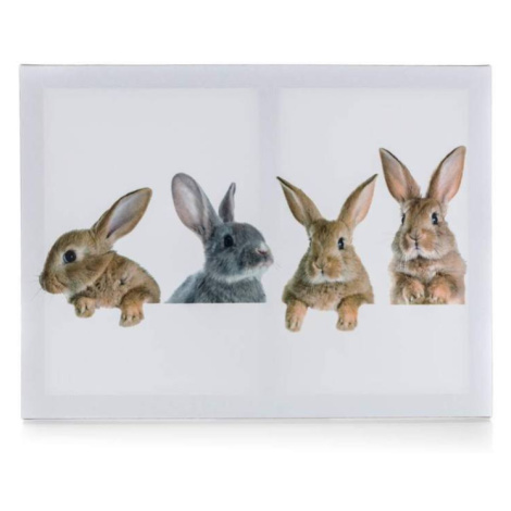 Sconto Obraz na plátne RABBITS 40x30 cm, motív zajačikovia Houseland