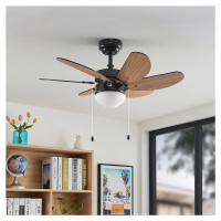 Stropný ventilátor Lindby s osvetlením Minja black quiet 78 cm