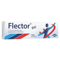 FLECTOR gél 100 g