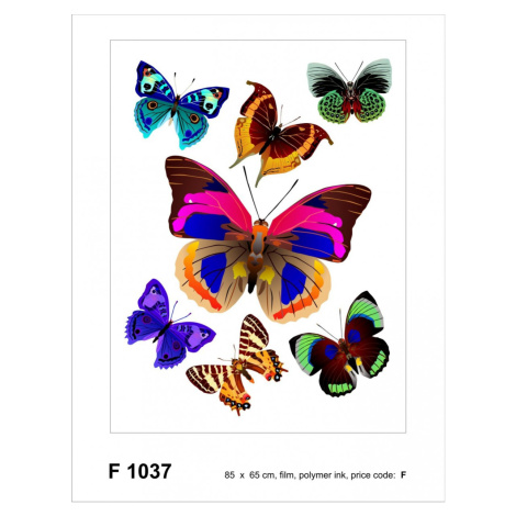 F 1037 AG Design Samolepiace dekorácie - samolepka na stenu - Butterflies, veľkosť 65 cm x 85 cm