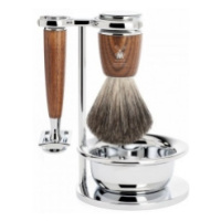 Mühle Ash, Pure Badger, žiletka S81H220SR sada