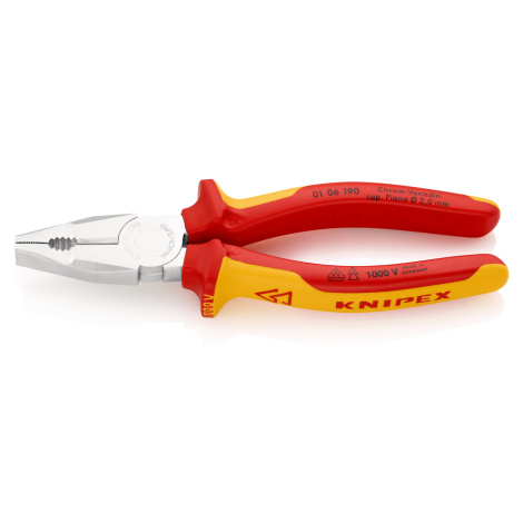 KNIPEX Kliešte kombinované 0106190