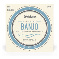 D'Addario EJ69B