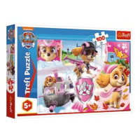 Puzzle Paw Patrol / Labková patrola Skye v akcii 41x27,5cm 100 dielikov v krabici 29x19x4cm