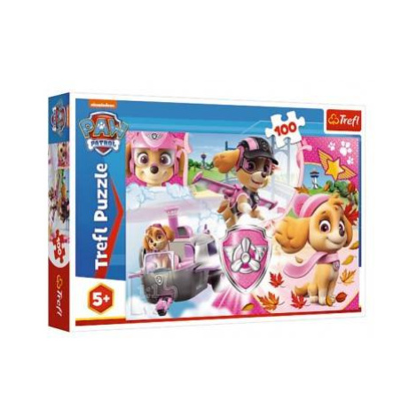 Puzzle Paw Patrol / Labková patrola Skye v akcii 41x27,5cm 100 dielikov v krabici 29x19x4cm