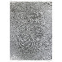 Kusový koberec Dizayn 2218 Grey - 200x290 cm Berfin Dywany