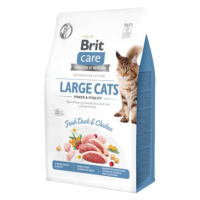 BRIT CARE cat GF LARGE cats power/vitality - 400g