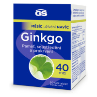 GS Ginkgo 40 mg 90 + 30 tabliet