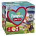 PAMPERS PANTS PAW PATROL S6 60KS (14-19KG)