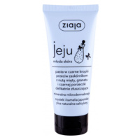 ZIAJA Jeju mikro-exfoliačná pleťová peelingová pasta 75 ml