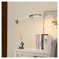 Lindby LED svietidlo Nyxaris, zlatá farba, kov, CCT, 52 cm