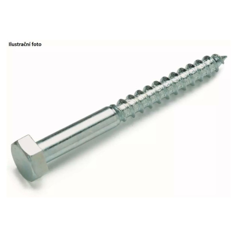 Šestihranný šroub do dřeva 10 x 60 mm (10 ks) Cimco