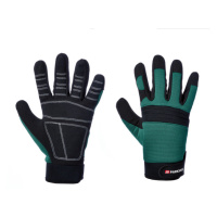 PARKSIDE® Dámske/Pánske pracovné rukavice (10, zelená)