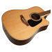 Takamine GD51CE-NAT