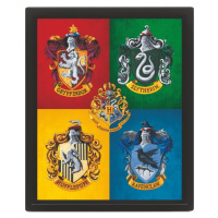 3D obraz Harry Potter farebný