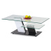 HALMAR Savana sklenený konferenčný stolík čierny lesk / biely lesk / čierna / priehľadná