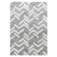 Kusový koberec Pisa 4705 Grey Rozmery kobercov: 80x250
