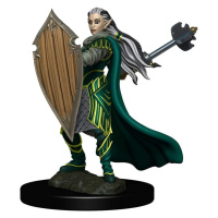 WizKids D&D Icons of the Realms: Premium Painted Figure - Elf Paladin Female