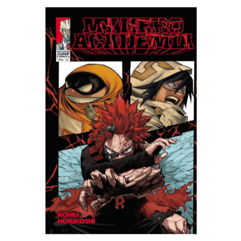 Viz Media My Hero Academia 16