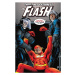 DC Comics Flash 1 (By Geoff Johns)