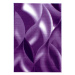 Kusový koberec Plus 8008 lila Rozmery koberca: 120x170