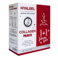 HYALGEL Collagen maxx vianočné balenie 500 + 500 ml