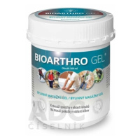 BIOMEDICA BIOARTHRO GEL