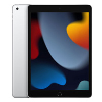 iPad Wi-Fi 256GB Silver (2021)