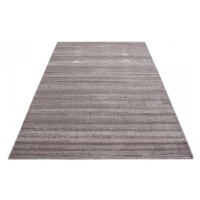 Kusový koberec Plus 8000 beige Rozmery koberca: 80x150