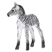 Mojo Zebra mláďa novinka