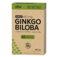 VITAR EKO Ginkgo biloba 60mg + DMAE + Vitamín B6, 60 kapsúl