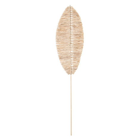 Sušená rastlina (výška  92 cm) Emia – Bloomingville