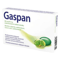 GASPAN 90 mg/50mg 14 tabliet 14 tabliet