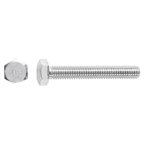 Skrutka so šesťhrannou hlavou SW16 plný závit pozinkovaný M10 x 140 mm - na váhu