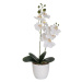 Umelý kvet (výška  39 cm) Orchid – Casa Selección