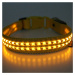 Reedog luminous USB svíticí obojek pro malé, střední a velké psy - žltá - M
