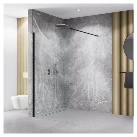 Sprchová zástena walk-in 100 cm Roth Walk in Line MI TWE 100200 NPE