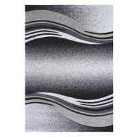 Sconto Koberec ENIGMA GREY sivá, 160x230 cm