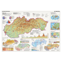 Dino Puzzle Mapa Slovenska 2000 dielikov