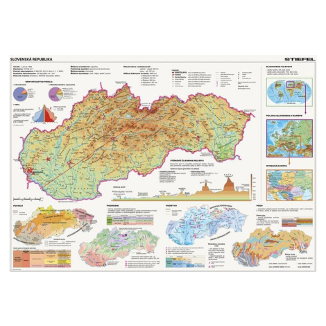 Dino Puzzle Mapa Slovenska 2000 dielikov