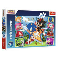 Trefl Puzzle 100 dielikov - Zoznámte sa so Sonicom / SEGA Sonic The Headgehog