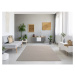 Sivý/béžový koberec 160x230 cm – Universal