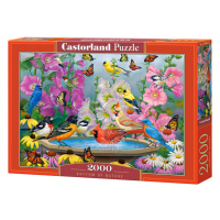 mamido  Puzzle 2000 dielikov Rytmus prírody