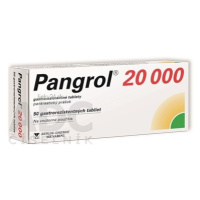 Pangrol 20 000