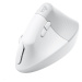 Logitech Lift Vertical Ergonomic Mouse for Business, Mac, off-white/pale grey