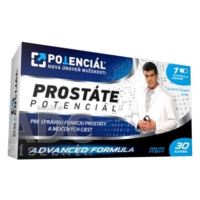 PROSTÁTE - POTENCIÁL