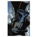 DC Comics Batman: Hush 20th Anniversary Edition