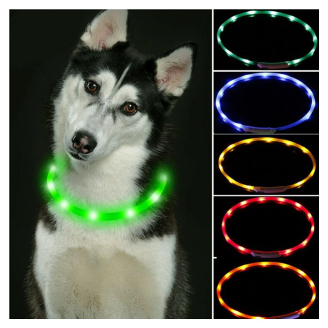 Reedog Easy Light USB nabíjací svietiaci obojok pre psy a mačky - červená