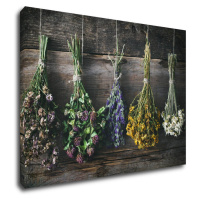 Impresi Obraz Suché kvety - 70 x 50 cm